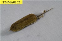 藏品(赤背條鼠)的圖片